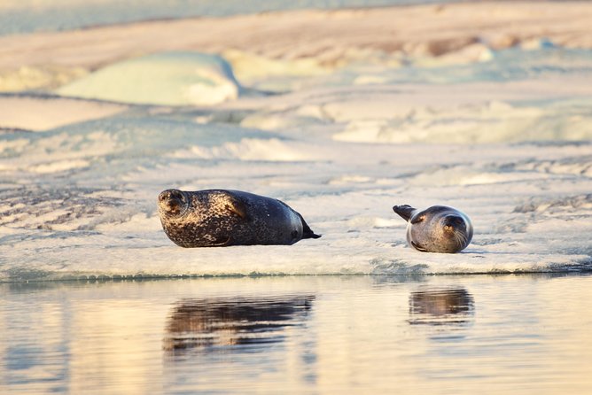 Small-Group Glacier Lagoon (Jokulsarlon) Day Trip From Reykjavik - Pickup and Drop-off Locations