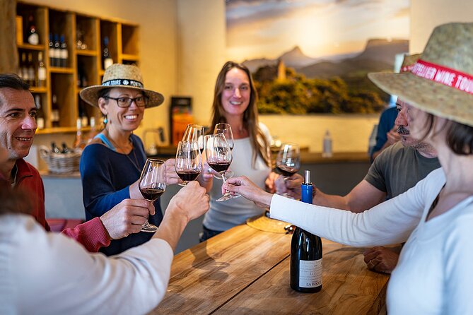 Small-Group Half-Day Languedoc Pic Saint-Loup Wine Tour From Montpellier - Inclusions and Accessibility