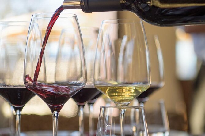 Small Group Wine Tasting Tour From Lagos - Cancellation Policy and Accessibility