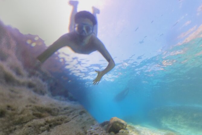 Snorkeling Tour Sazan Island & Karaburun 360 Experience - Inclusions of the Tour
