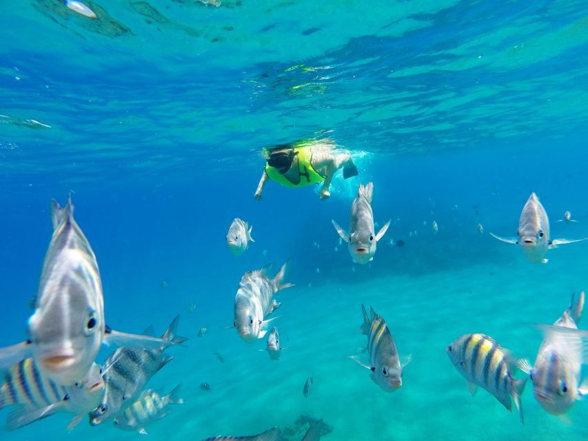 Snorkeling Tour & Sosua Beach Day - Frequently Asked Questions