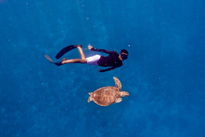 Snorkeling With Turtle and Statue in Gilis - Snorkeling Highlights