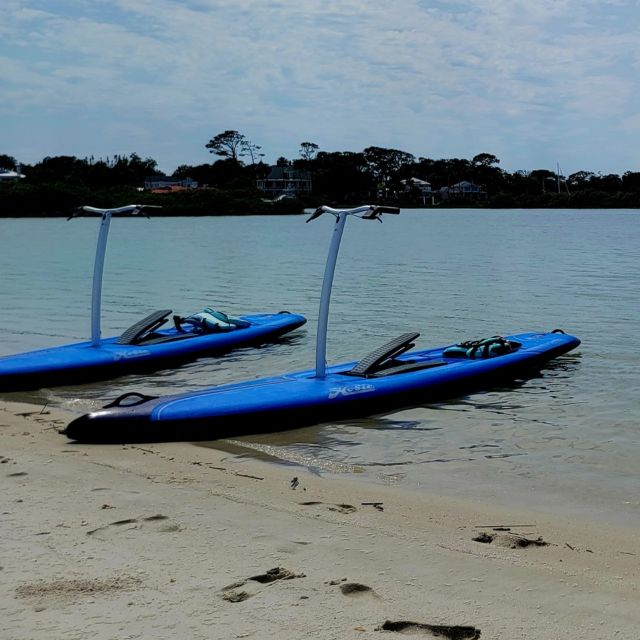 St. Augustine: Standup Pedal-boarding Dolphin Tour - Wildlife Spotting Opportunities