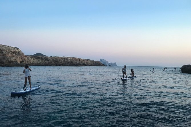 Stand Up Paddle Surf Sunset Tour - Tour Operator and Pricing
