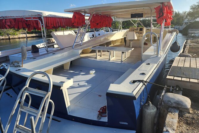 Starfish and Stingray City Fun Tour With Reef Snorkeling- 3 Stops - Group Size Limit