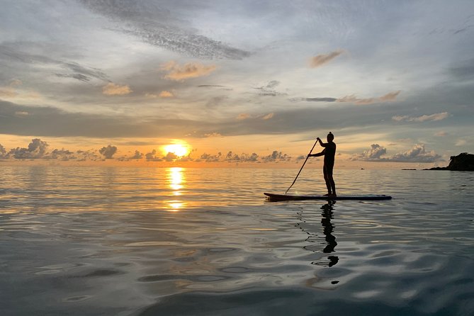 Sunrise Stand Up Paddleboard (SUP) Tour in Koh Samui - Important Considerations for Participants