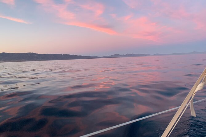 Sunset Sailing Along the Marbella Coast From Puerto Banus - Service Animals