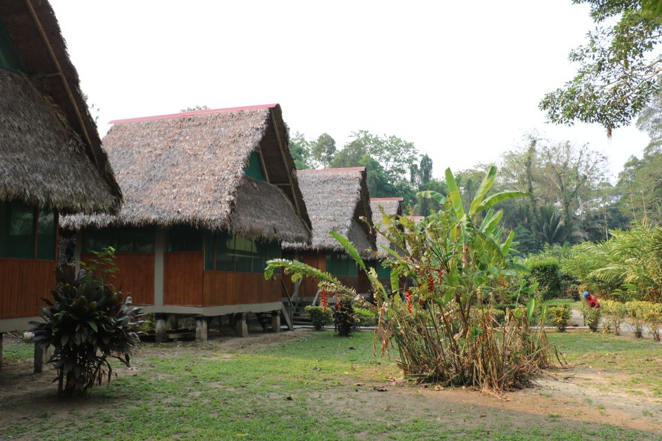 Tambopata Peruvian Amazon Jungle for Three Days/Two Nights - Reserve Now, Pay Later