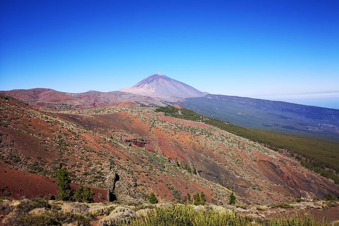 Teide National Park for Smaller Groups - Small-Group Tour Experience