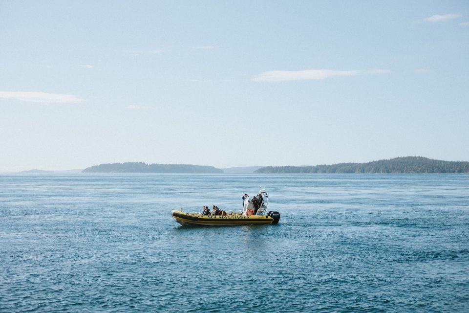 Telegraph Cove: 3-Hour Whale Watching Tour in a Zodiac Boat - Tour Duration and Departure