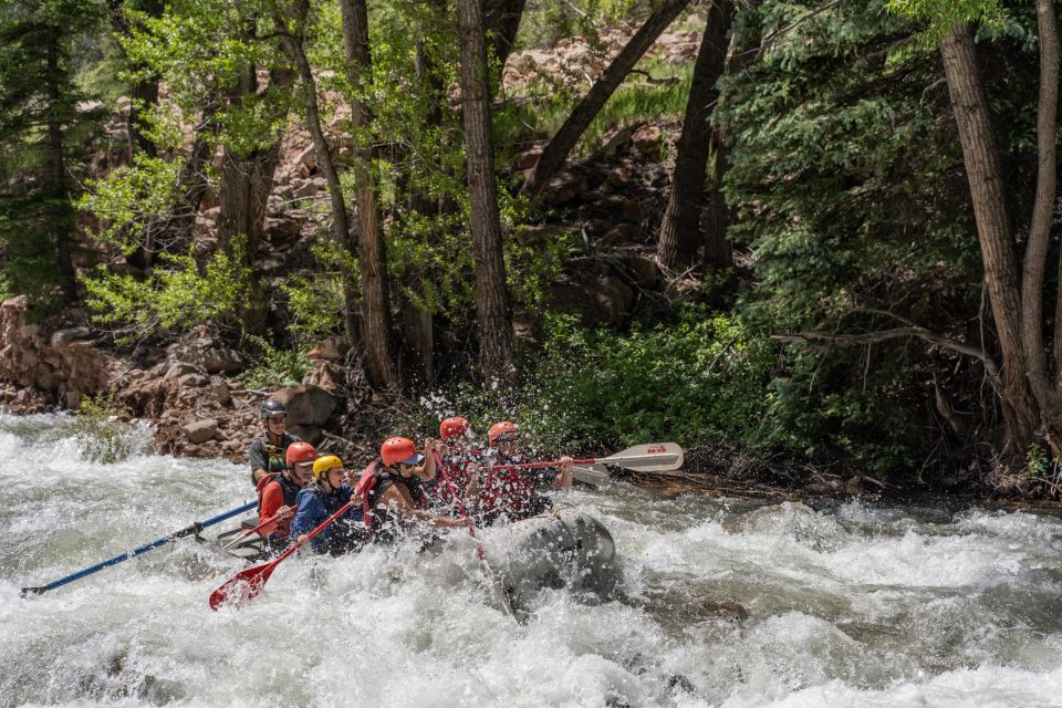 Telluride Whitewater Rafting - Full Day With Lunch - Lunch Break and Shuttle Service