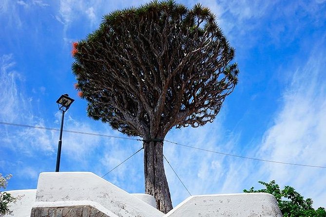 Tenerife Highlights Full-Day Tour - Confirmation and Availability