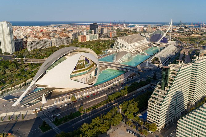 The Beauty of Valencia by Bike: Private Tour - Insights From Knowledgeable Guide