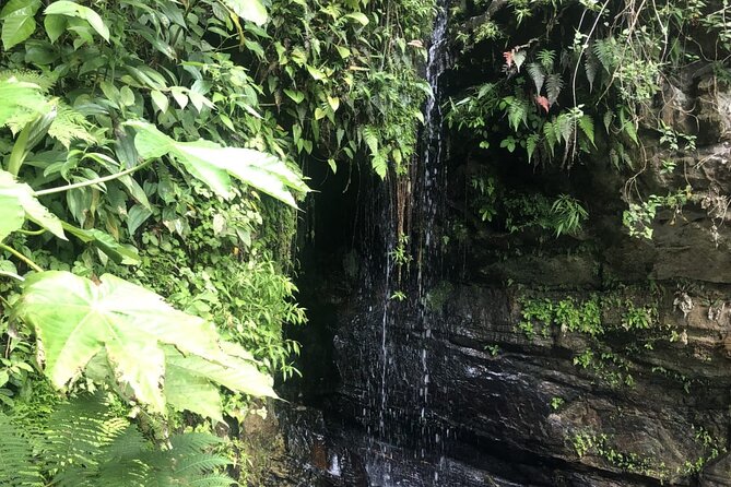 The El Yunque Rainforest, Waterslides, and Beach Tour With Transport - Logistics and Considerations