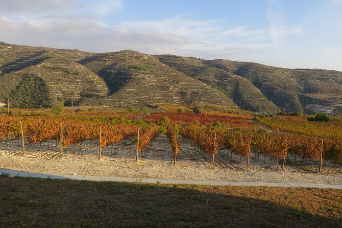The Grape Escape: Troodos Mountains Thru Wine Small Group Tour 6hrs - Winery Visit and Tasting