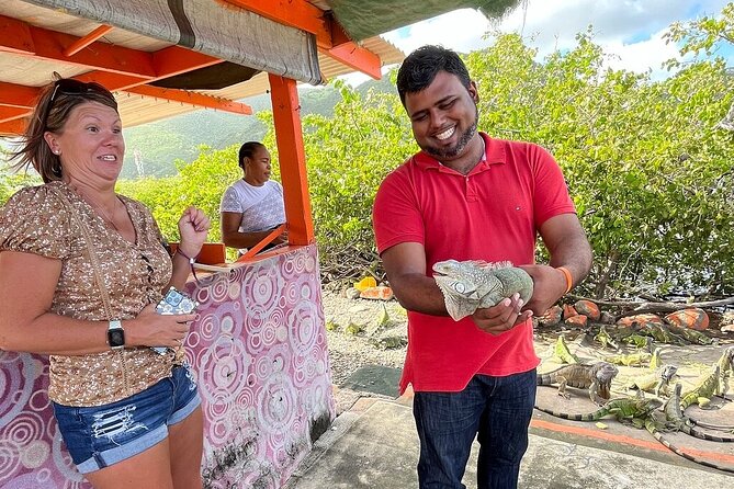 The Highlights of St Maarten Island Tour - Tips for Tour Participants