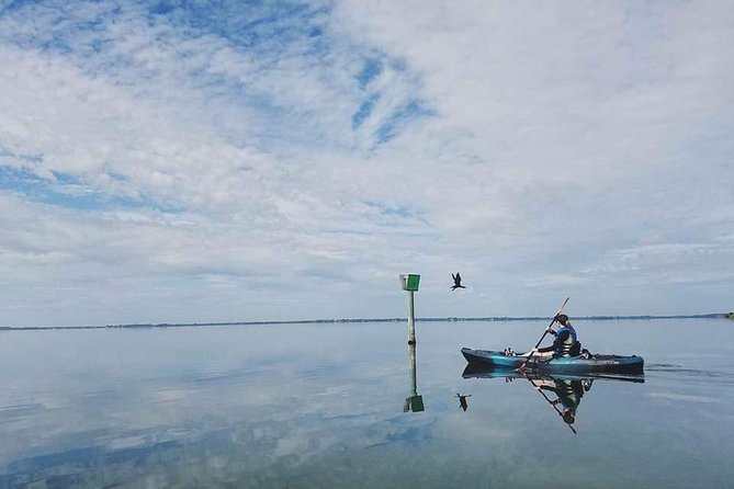 Thousand Island Mangrove Tunnel, Manatee & Dolphin Kayak Tour W/Cocoa Kayaking - Special Offer