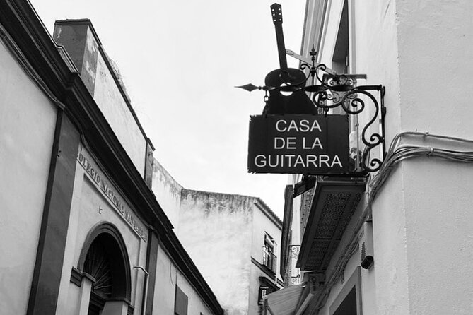 Ticket for the Flamenco Guitar Show at Casa De La Guitarra - Duration and Performance Schedule