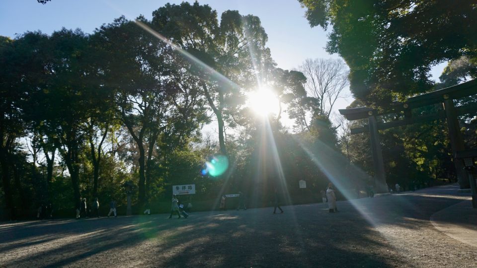 Tokyo Harajuku Meiji Shrine 1h Walking Explanation Tour - Duration and Group Size