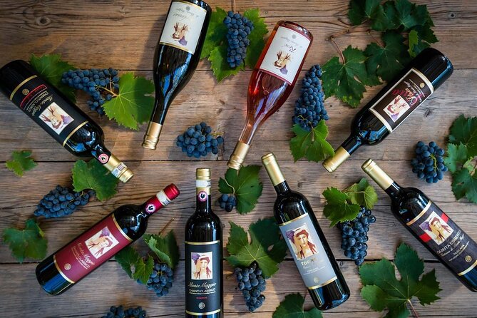 Tour and Tasting at an Organic Winery in the Heart of Chianti Classico Area - Meeting and Pickup Details