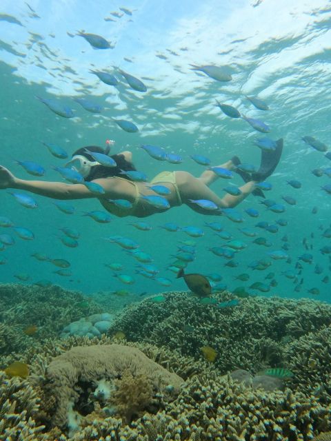 Tour Gili Islands : Private Snorkeling Trip 4 Hours - Snorkeling Locations