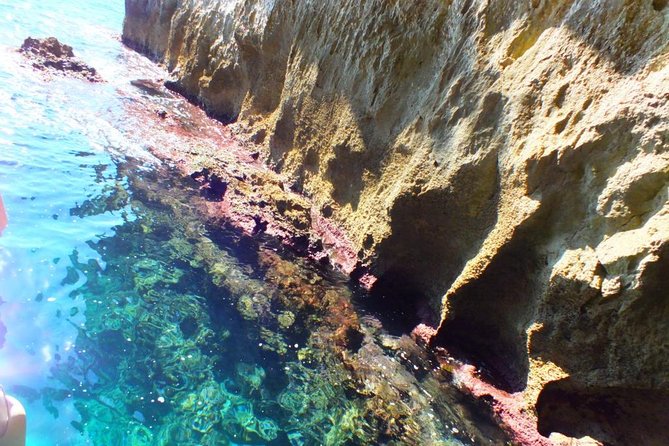 Tour of the Island of Ortigia and Exploration of Sea Caves With Baths. - Navigating the Caves