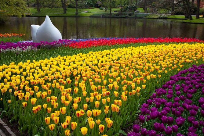 Tour to Keukenhof, Tulip Farm and Windmill Cruise From Amsterdam - Boat Cruise and Tulip Farm