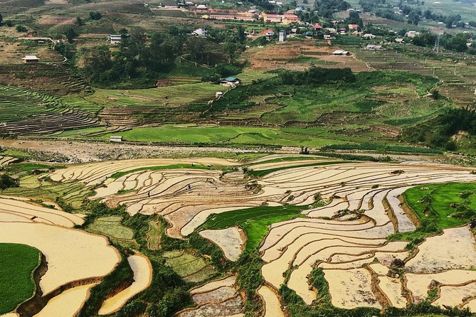 Trekking Sapa 1 Day - the Best Terraced Rice Field - Pricing and Group Size