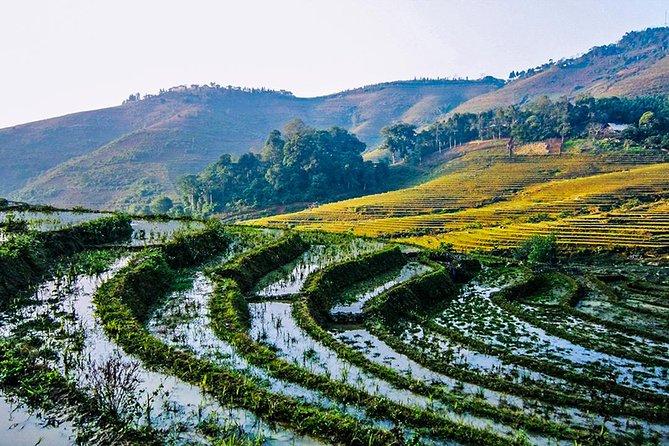 Trekking Through Rice Terraced Fields - 1Day​ - Trek Highlights