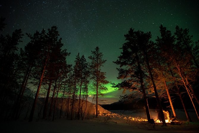 Tromsø: Small Group Northern Lights Hunt - Photography Techniques