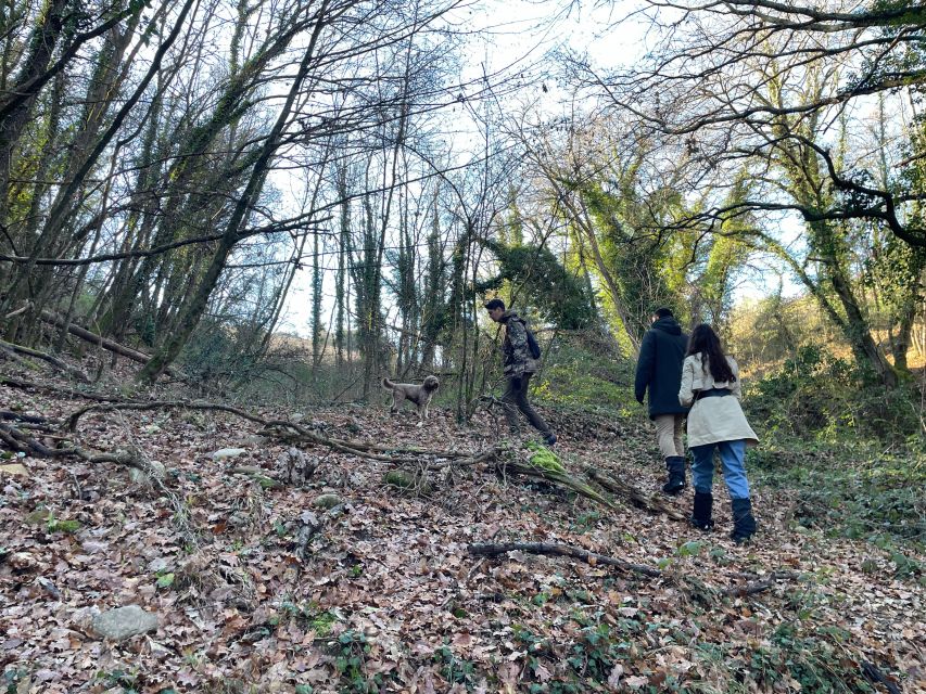 Truffle Hunting in Chianti With Pasta Cookingclass and Lunch - Pricing & Duration