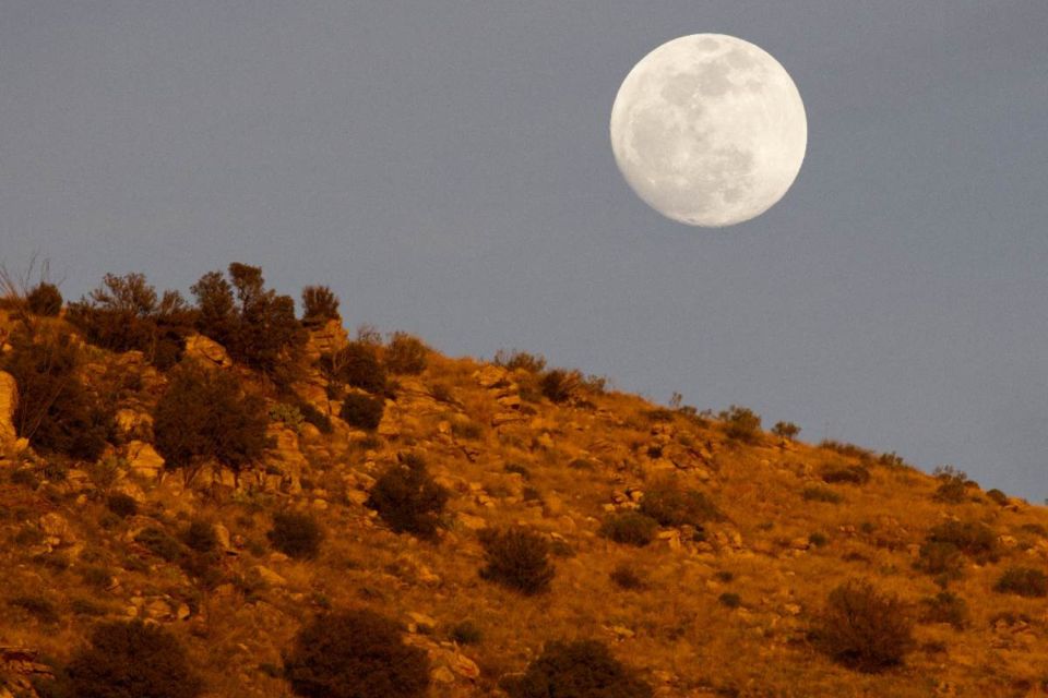 Tucson: Mt Lemmon & Saguaro NP Self-Guided Bundle Tour - Ancient Petroglyphs and Settler History