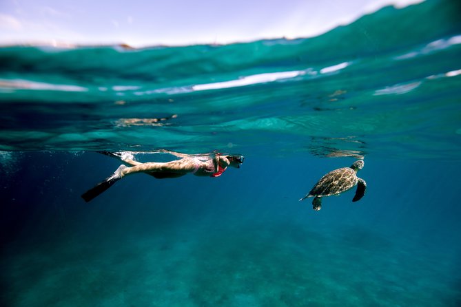 Turtle Cove Catamaran Snorkel and Sail at Little Buck Island - Additional Details