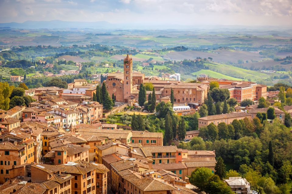 Tuscany: Chianti Wine Paradise Tour - Private Transportation and Guided Experience