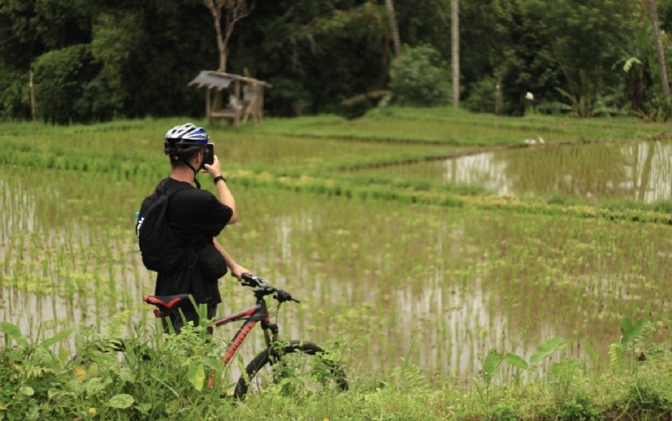 Ubud: Downhill Jungle & Rice Terrace Cycling Tour With Meals - Frequently Asked Questions