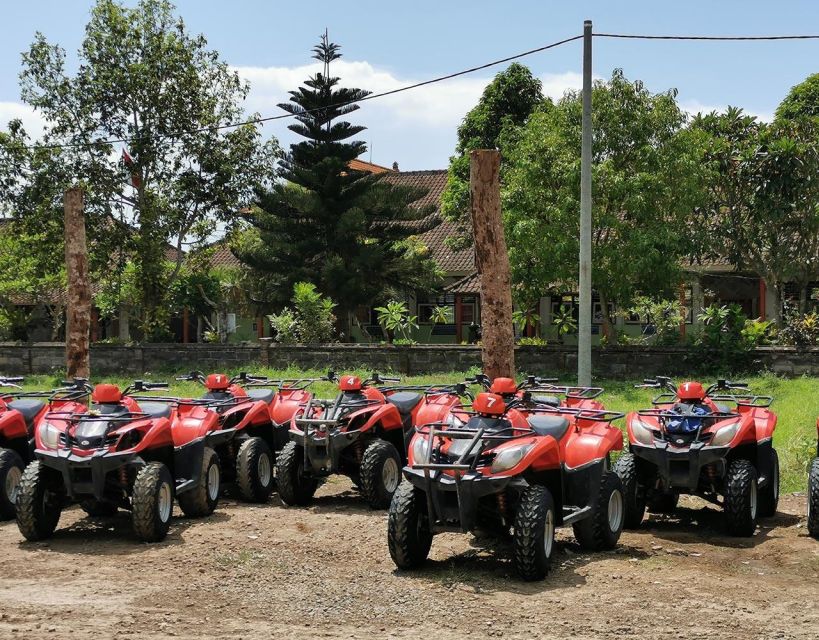 Ubud: Gorila Face Atv Tubing - Group Size