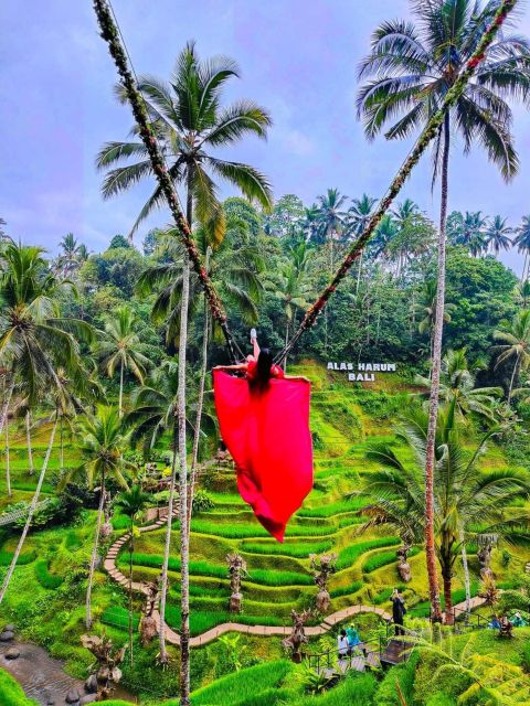 Ubud : Highlight Ubud Village, Culture and Waterfall Tours | Travel Buddies