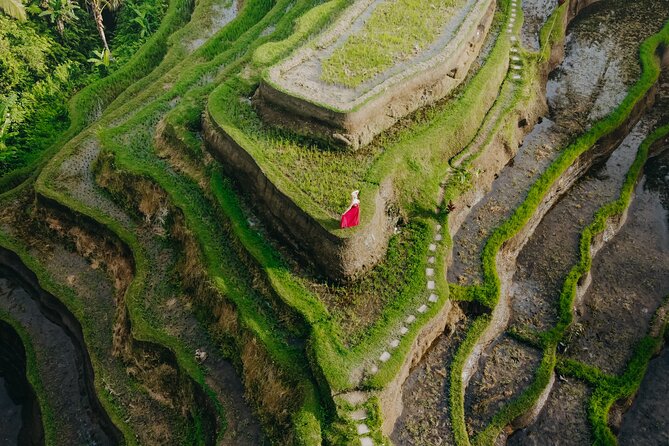 UBUD Instagram Spot Tour With Photographer - Destination Highlights