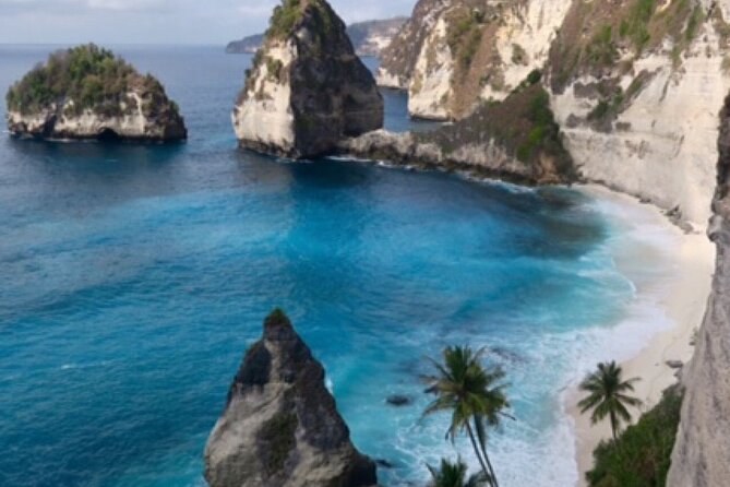 Ubud Kintamani Tour - Inclusions and Exclusions