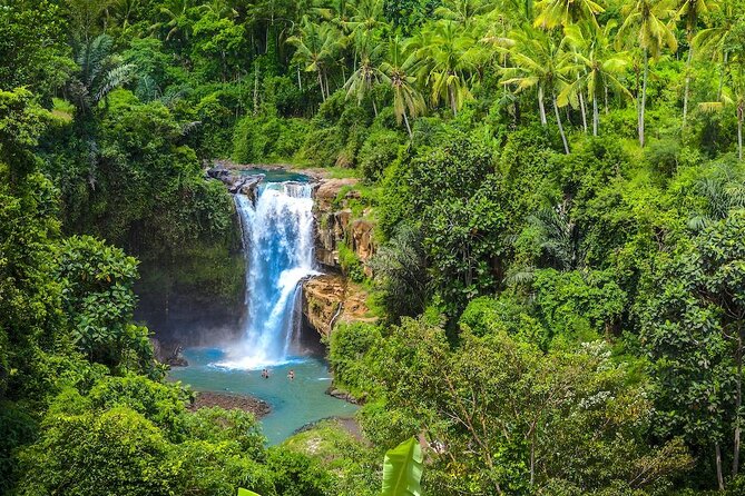 Ubud: Monkey Forest, Jungle Swing, Rice Terrace, and Water Temple - Tegalalang Rice Terrace Visit