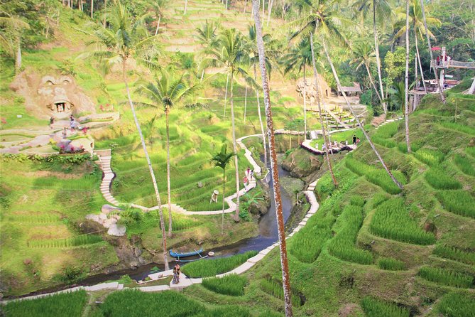 Ubud Private Tour : Ubud Temple and Authentic of Ubud - Traveler Reviews and Ratings
