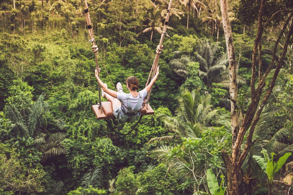 Ubud: Rice Terraces, Waterfall, and Monkey Forest Day Tour - Jungle Swing Experience