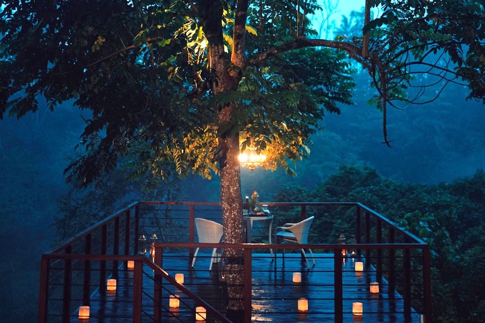 Ubud: Romantic Dinner on a Forest Tree Deck - Availability and Pricing Details