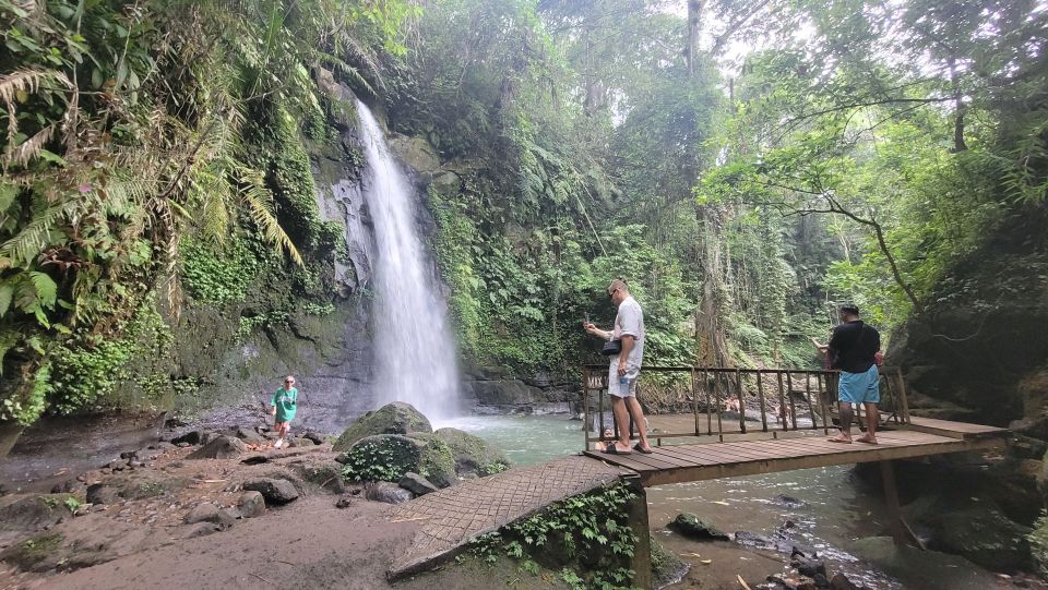 Ubud: Swing, Coffee Plantation, Rice Terrace, and Waterfall - Transportation and Logistics