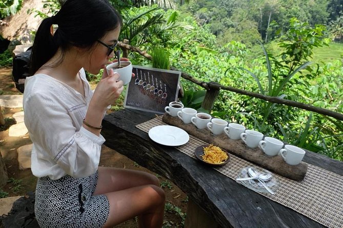 Ubud Tour With Swing, Temple, Monkey Forest, and Waterfall - Coffee Plantation Excursion