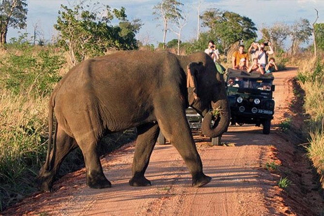 Udawalawe National Park Private Safari - Exclusions and Inclusions