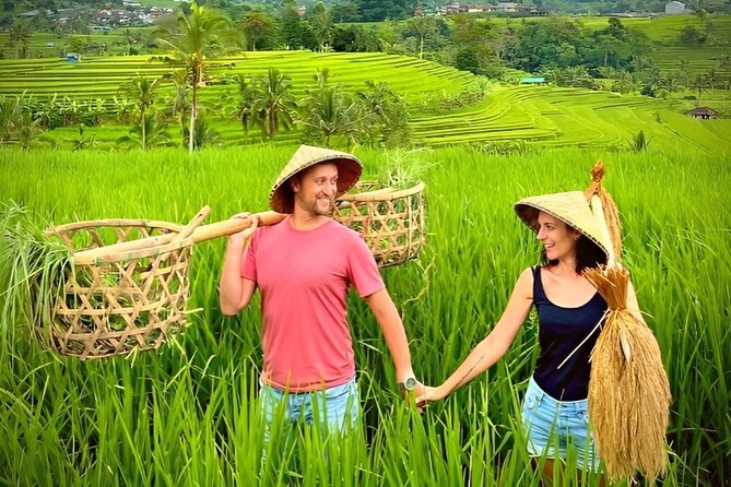 Ulun Danu Beratan Temple - Tanah Lot Temple Tour by UNESCO World Heritage - Tour Logistics and Accessibility