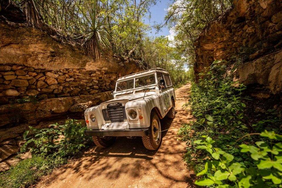 Uxmal: Private Plantations Tour in a Vintage Land Rover - Seasonal Fruit Tasting