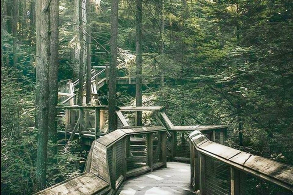 Vancouver Capilano Canyon Light&Peak of Christmas in Grouse - Pricing and Booking Options