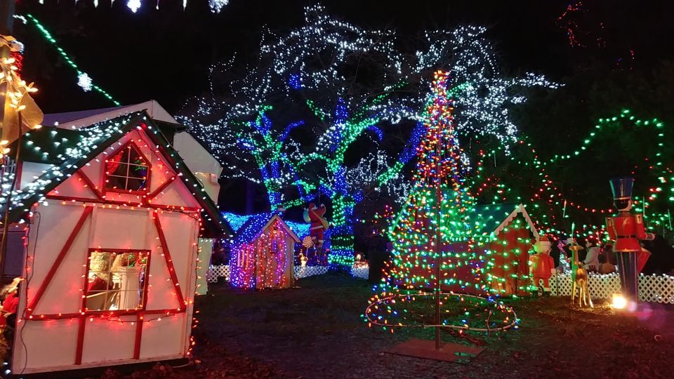 Vancouver: Christmas Tour With Light Festival Entrance - Festive Light Shows